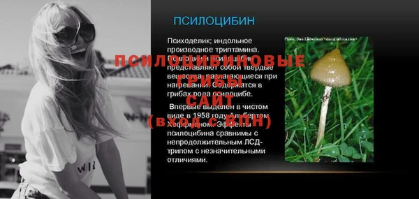 PSILOCYBIN Касимов