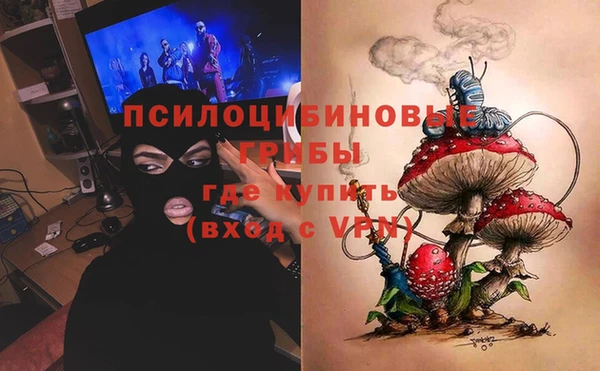 PSILOCYBIN Касимов