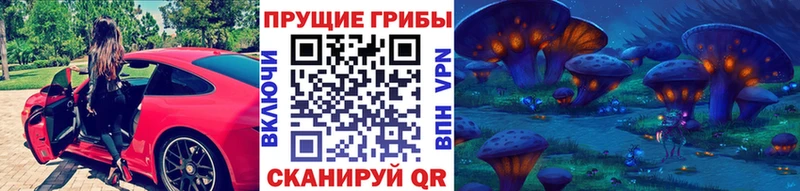 Псилоцибиновые грибы Cubensis  Купить закладки  Сланцы 